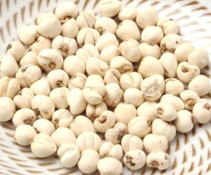 Fritillaria Drying Process